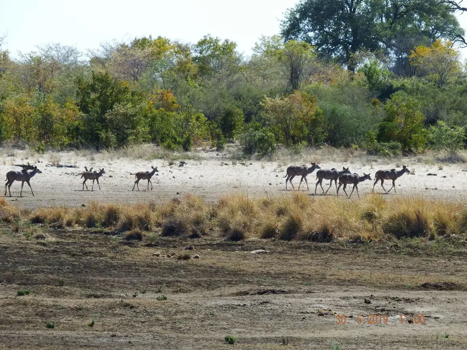 DSCF8758.JPG
