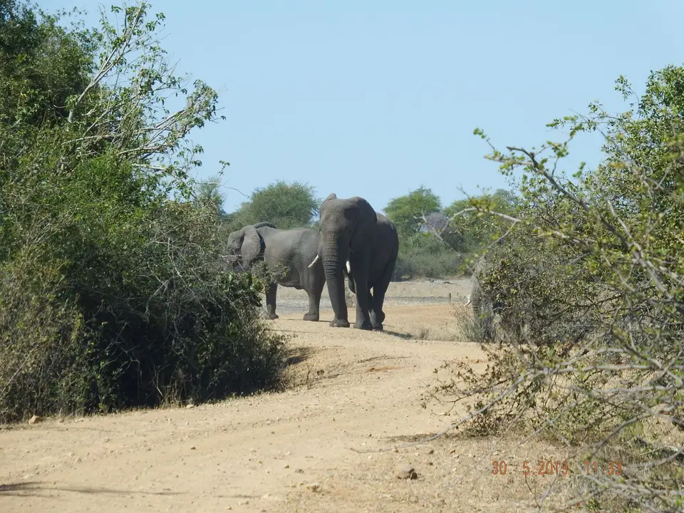 DSCF8770.JPG