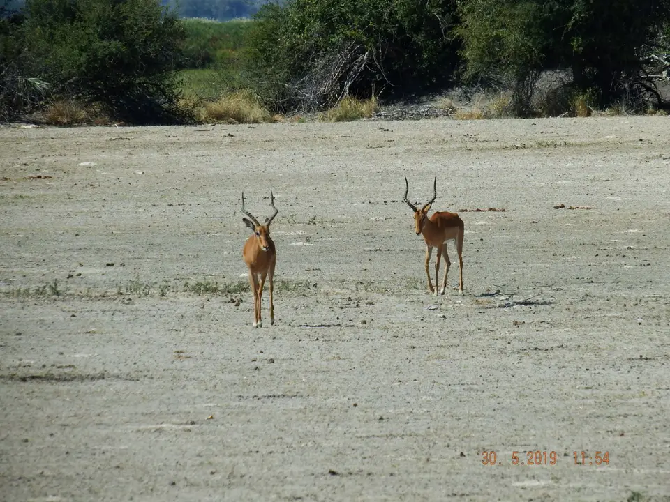 DSCF8793.JPG