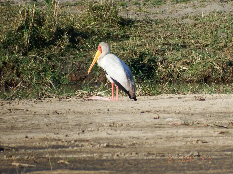 DSCF8871.JPG