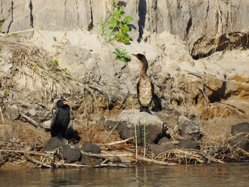 DSCF8891.JPG