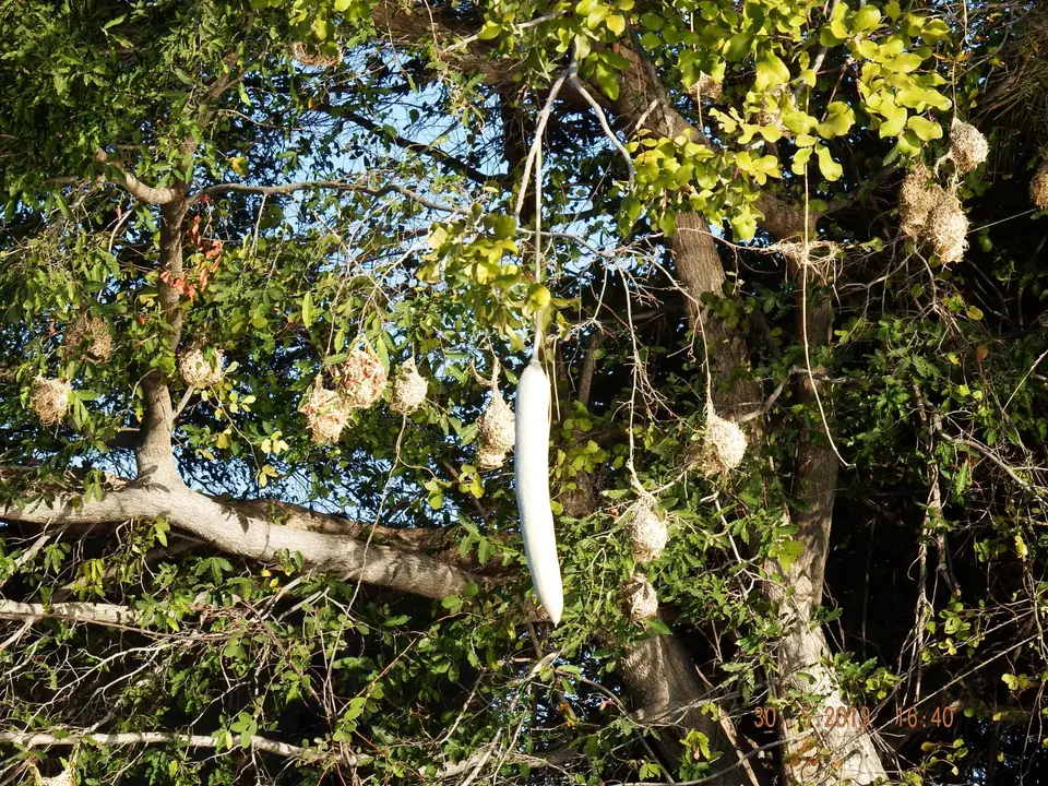DSCF8905.JPG