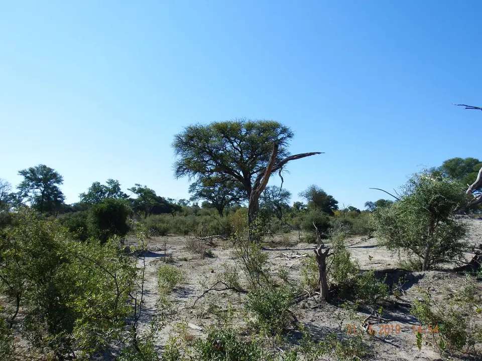 DSCF9194.JPG