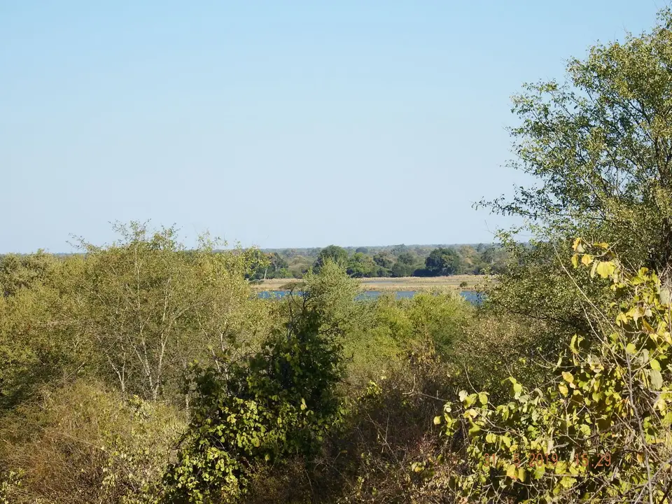 DSCF9209.JPG