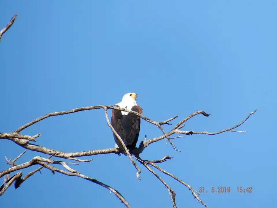 DSCF9222.JPG