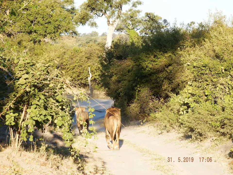 DSCF9295.JPG