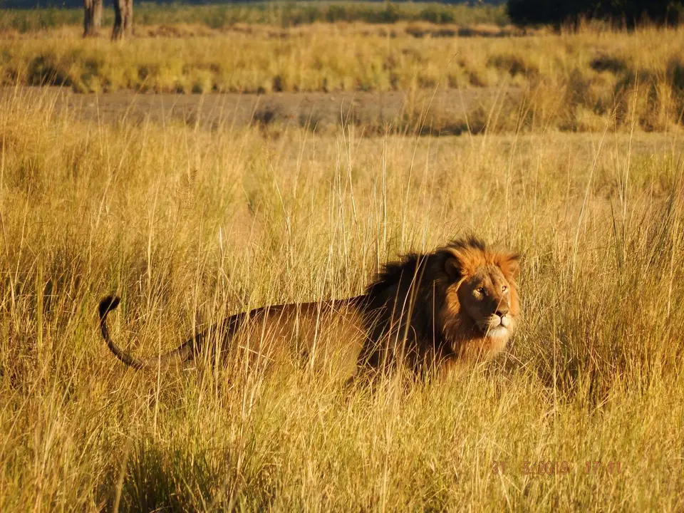 DSCF9313.JPG