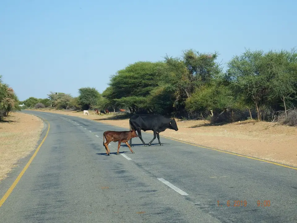 DSCF9347.JPG