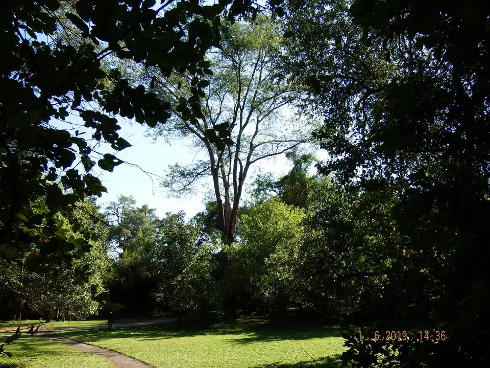 DSCF9380.JPG