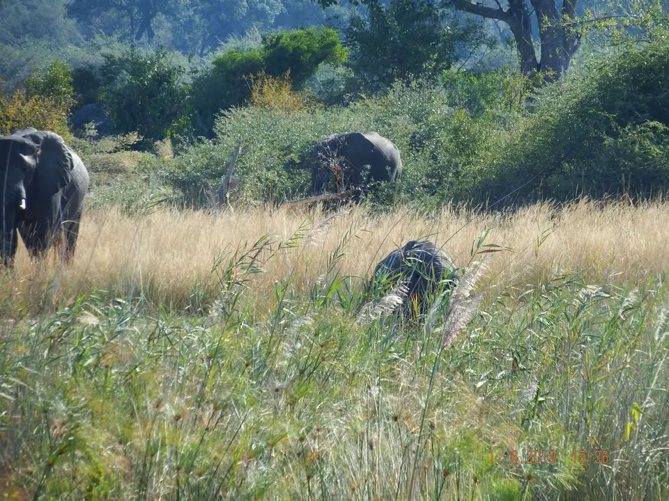 DSCF9409.JPG