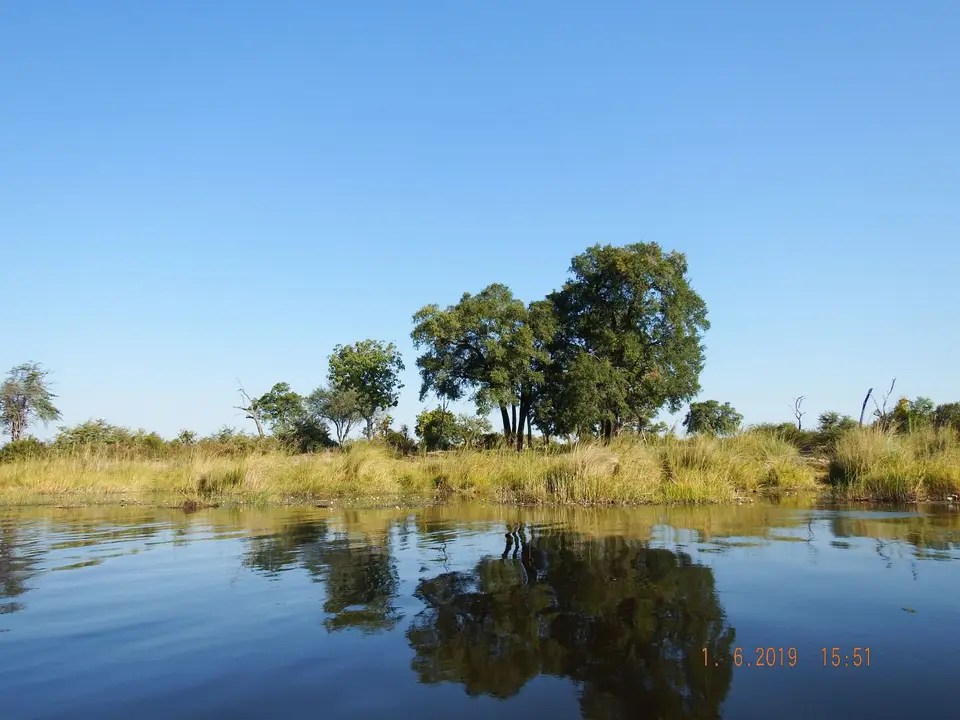 DSCF9418.JPG