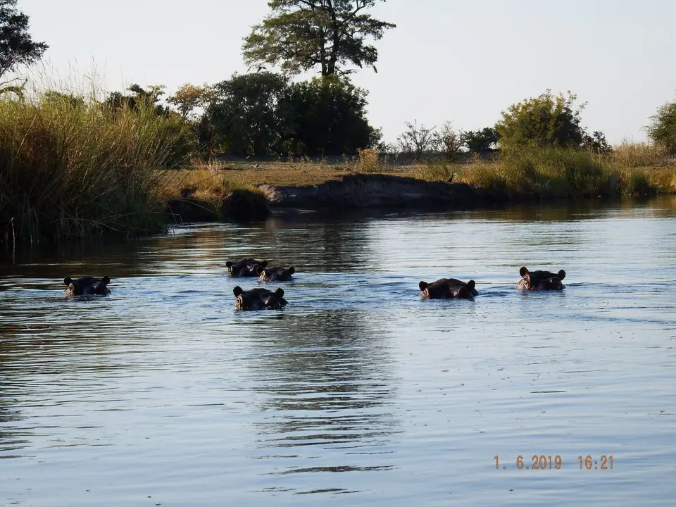 DSCF9454.JPG