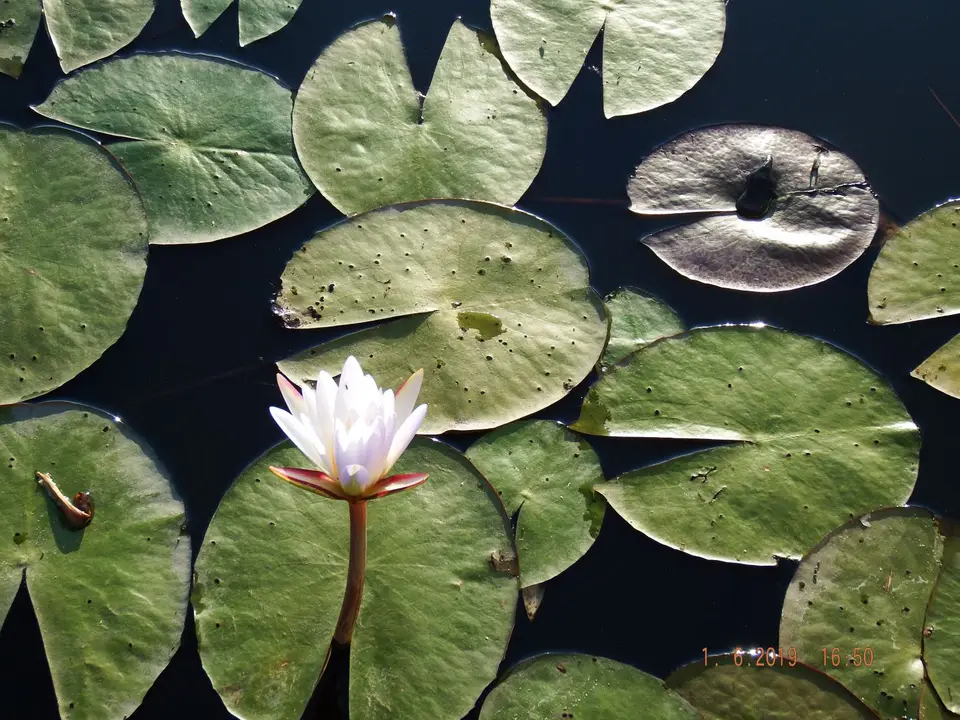 DSCF9496.JPG