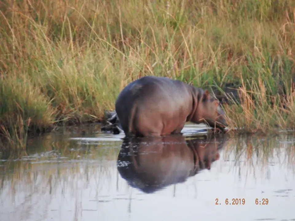 DSCF9538.JPG