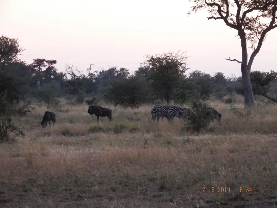 DSCF9539.JPG