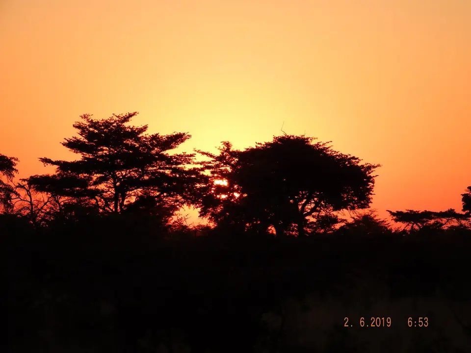 DSCF9549.JPG