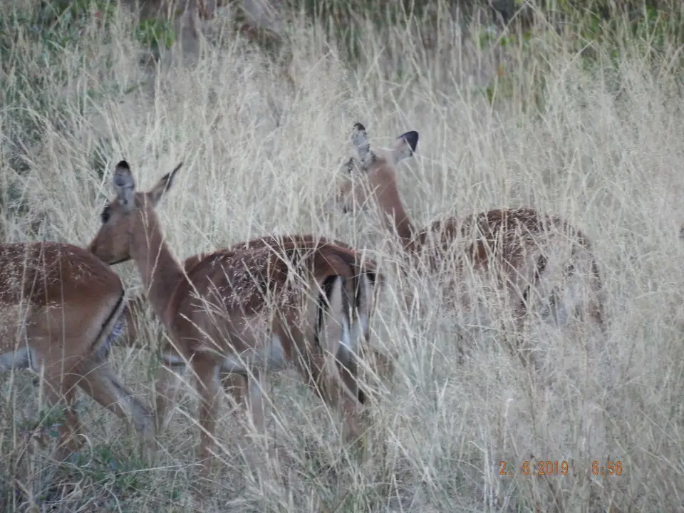 DSCF9551.JPG
