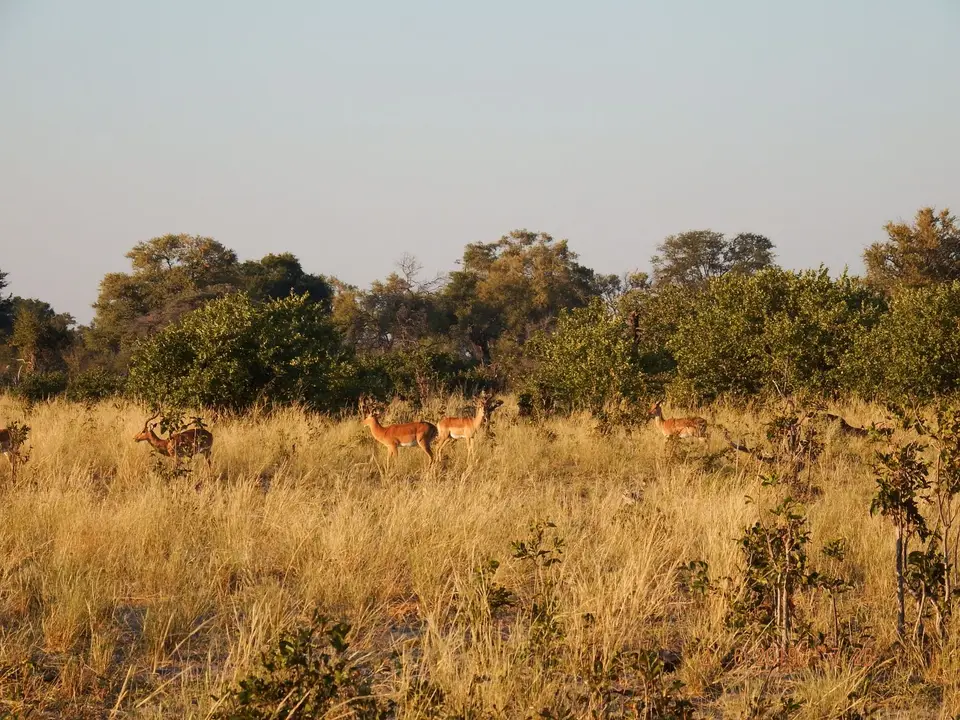 DSCF9588.JPG