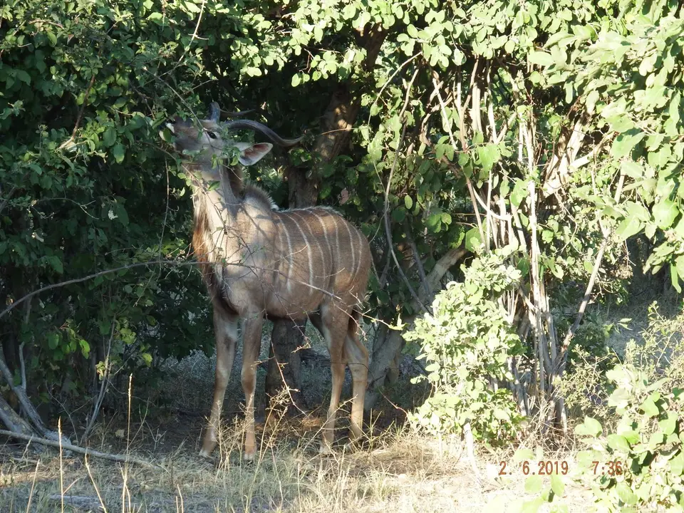 DSCF9603.JPG