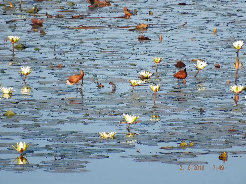 DSCF9615.JPG