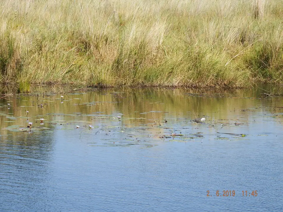 DSCF9670.JPG