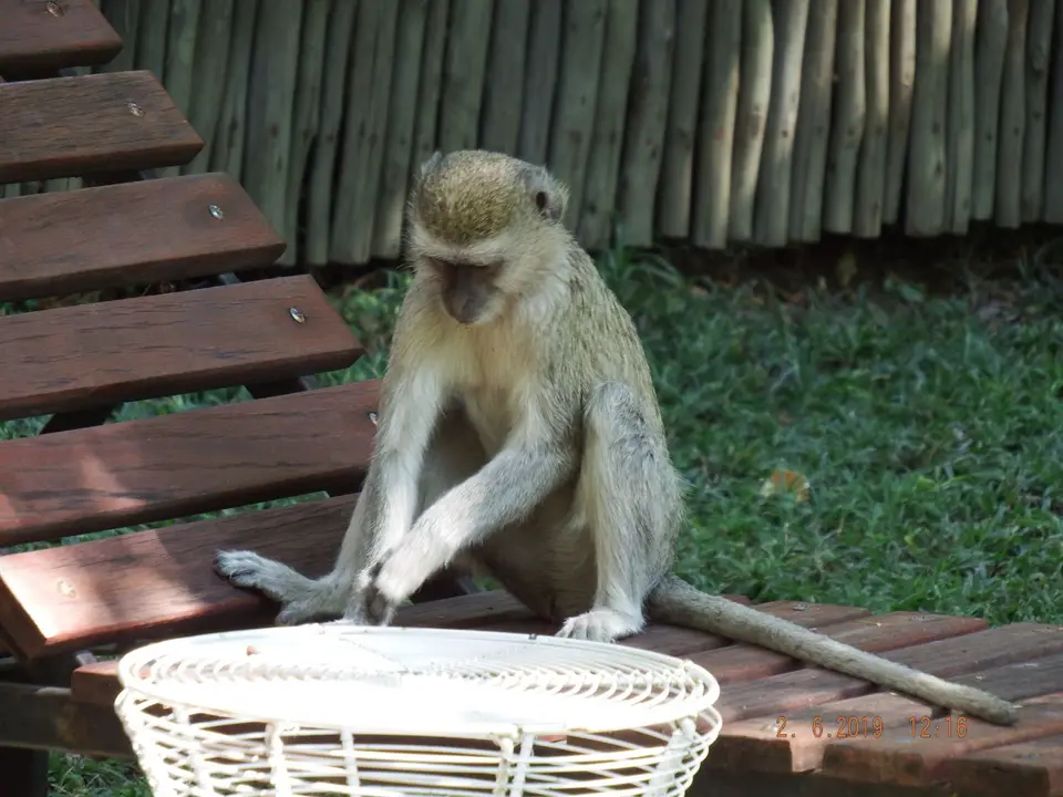 DSCF9686.JPG