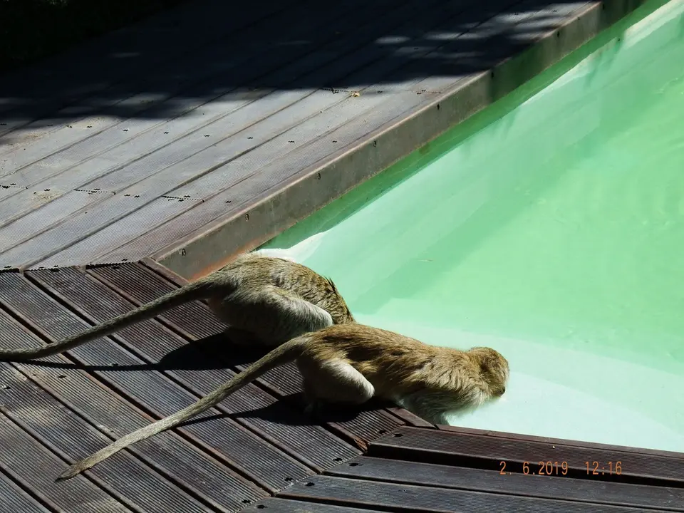 DSCF9689-2.JPG