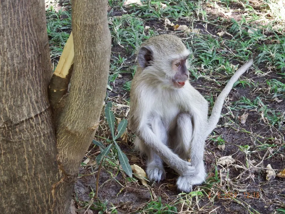 DSCF9692.JPG