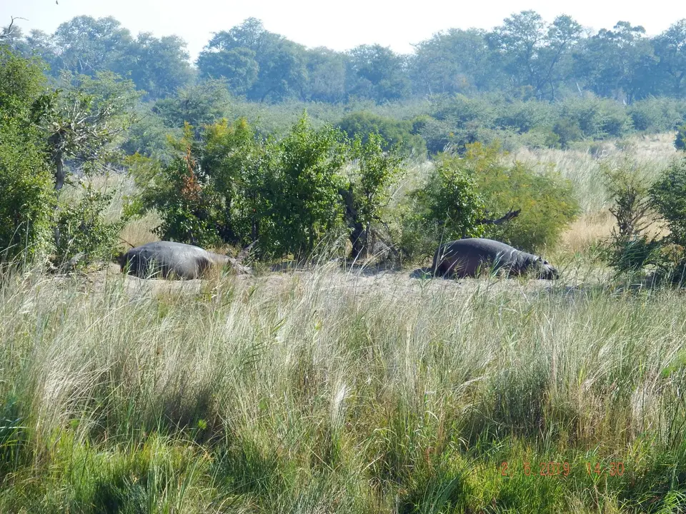 DSCF9701.JPG