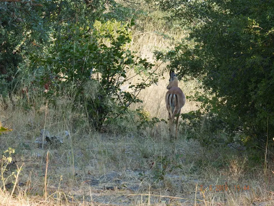 DSCF9710.JPG