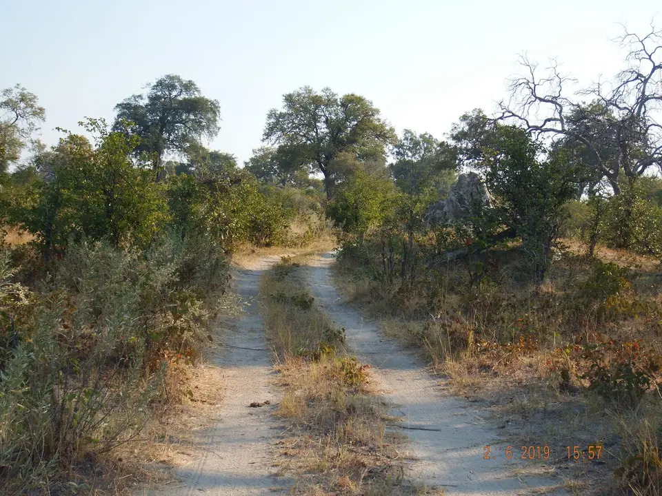 DSCF9719.JPG