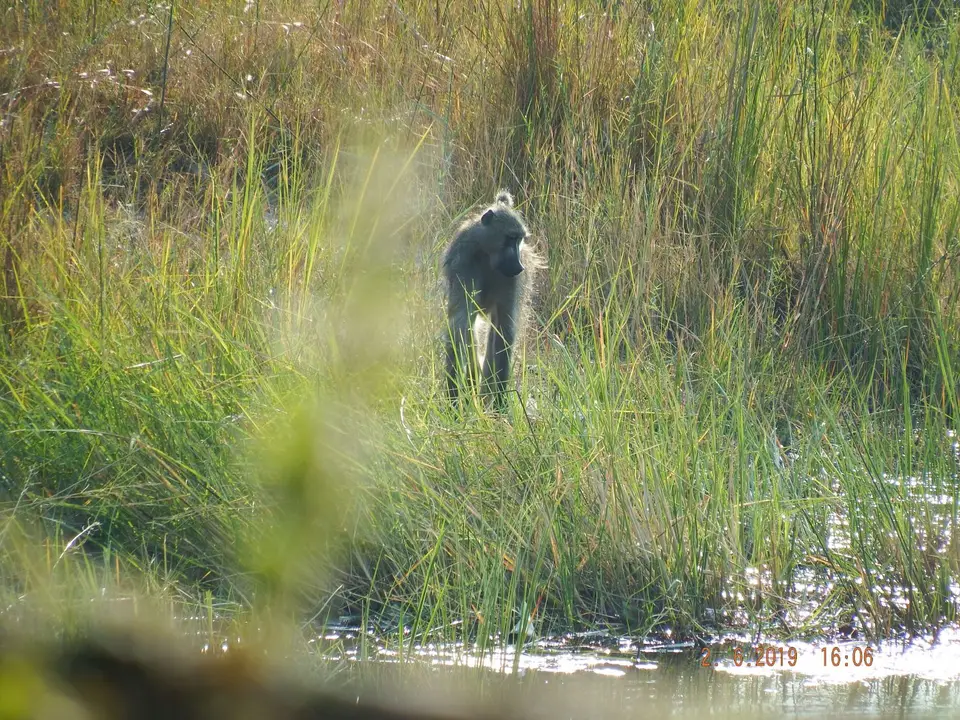 DSCF9725.JPG