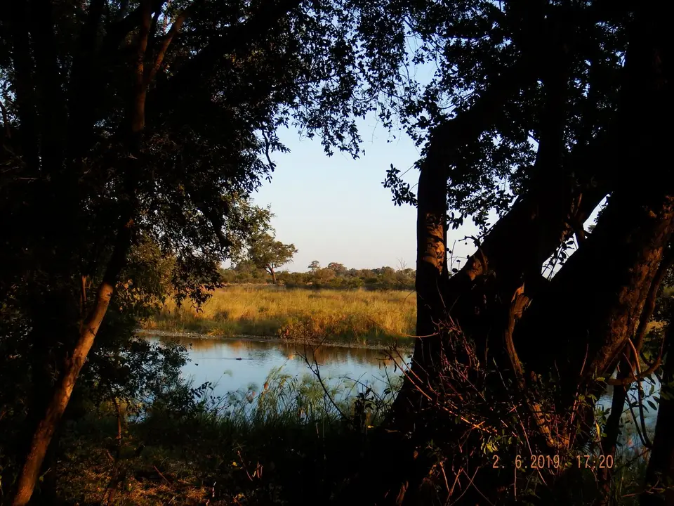 DSCF9736.JPG