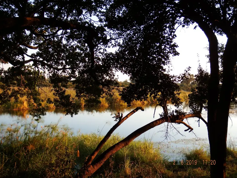 DSCF9737.JPG
