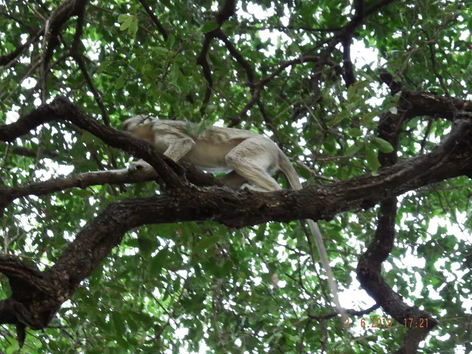 DSCF9739.JPG