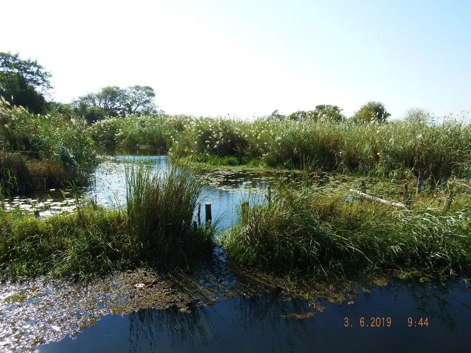 DSCF9772.JPG