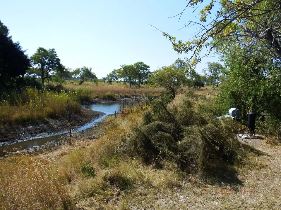 DSCF9808-2.JPG