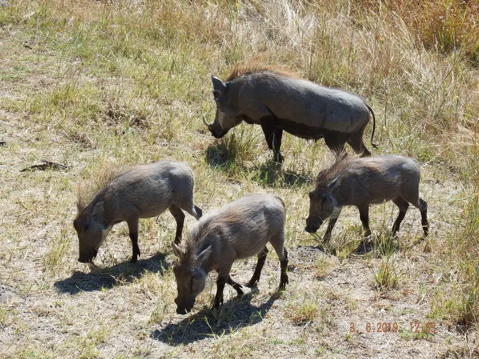 DSCF9821-2.JPG