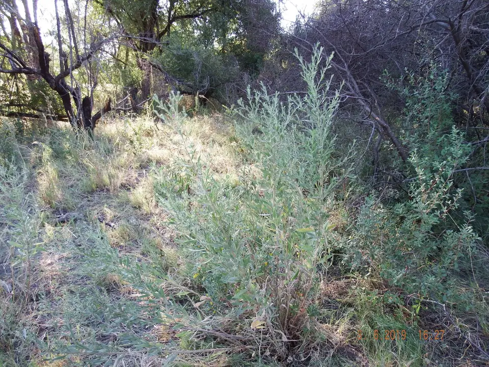 DSCF9839.JPG