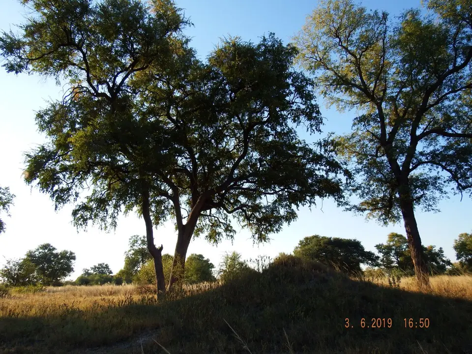 DSCF9843.JPG