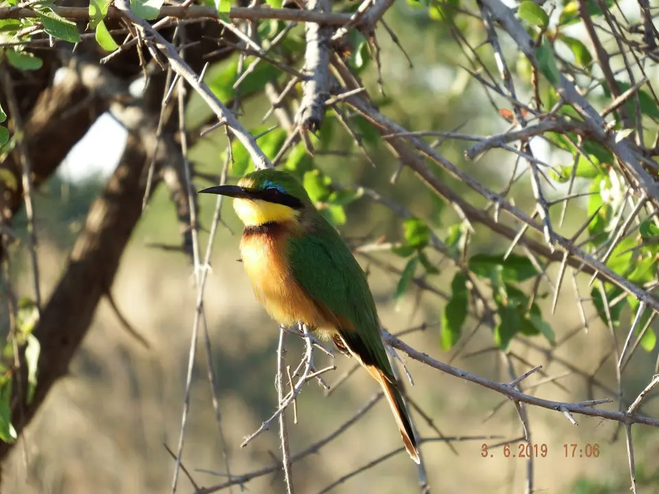 DSCF9854.JPG