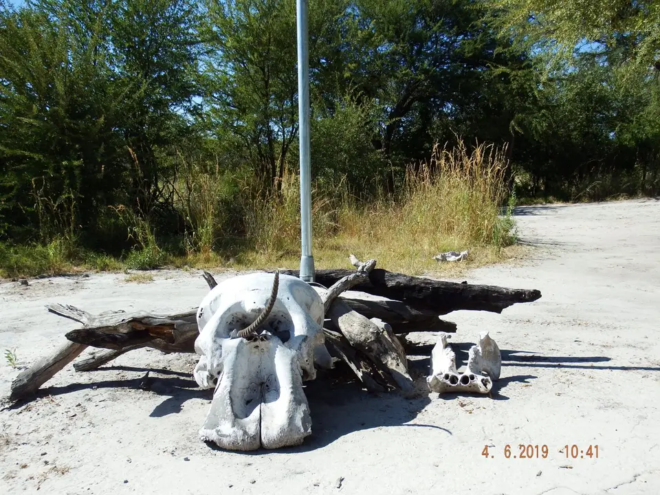 DSCF9874.JPG