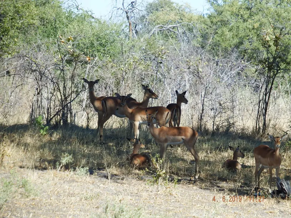 DSCF9891.JPG