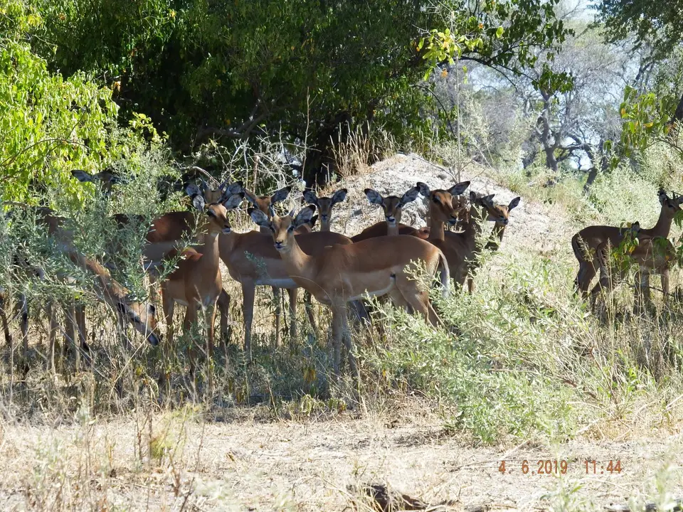 DSCF9902.JPG