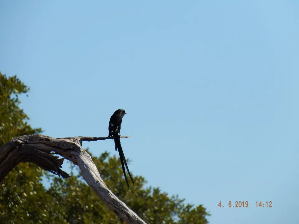 DSCF9913.JPG