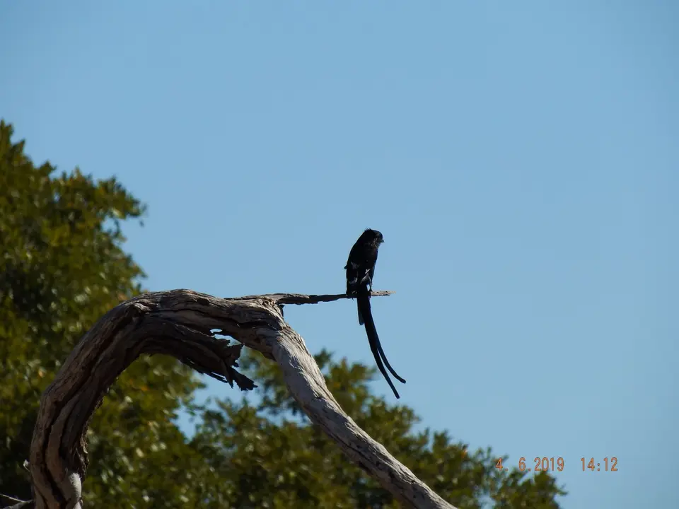 DSCF9914.JPG