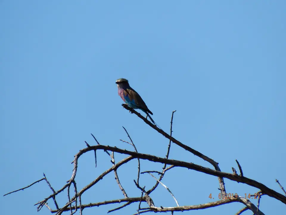 DSCF9915.JPG