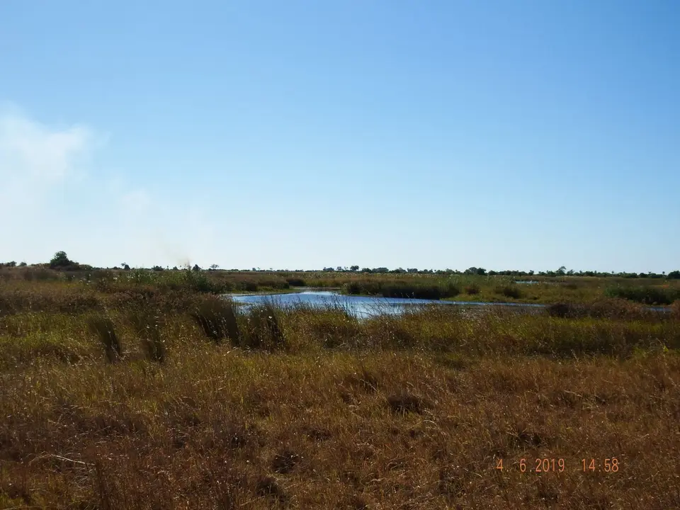 DSCF9932.JPG