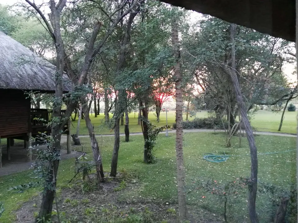 IMG_20190529_065840.jpg