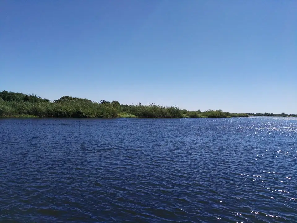 IMG_20190605_114059.jpg